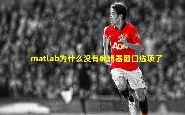 matlab为什么没有编辑器窗口选项了