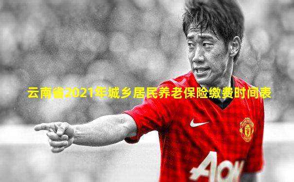 云南省2021年城乡居民养老保险缴费时间表