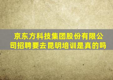 京东方科技集团股份有限公司招聘要去昆明培训是真的吗