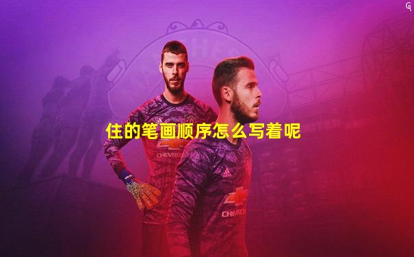 住的笔画顺序怎么写着呢