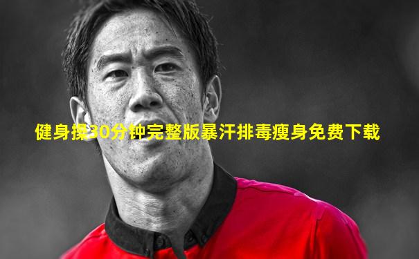 健身操30分钟完整版暴汗排毒瘦身免费下载