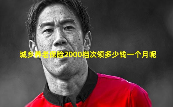 城乡养老保险2000档次领多少钱一个月呢