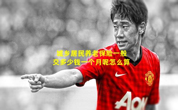 城乡居民养老保险一般交多少钱一个月呢怎么算