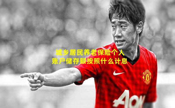 城乡居民养老保险个人账户储存额按照什么计息