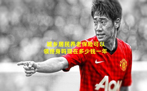 城乡居民养老保险可以领终身吗现在多少钱一年