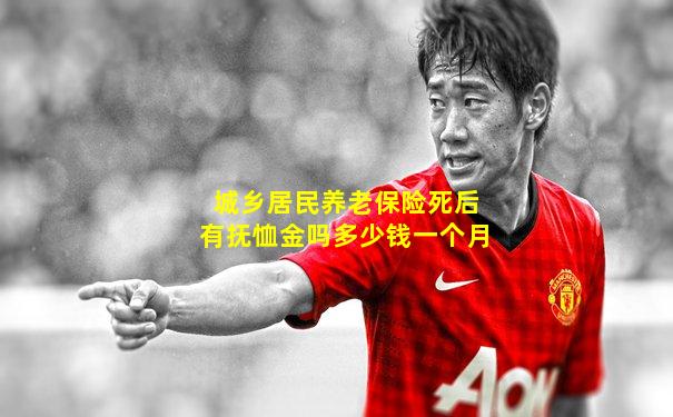 城乡居民养老保险死后有抚恤金吗多少钱一个月