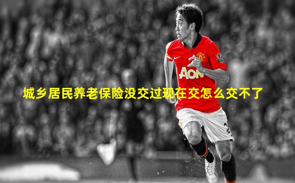 城乡居民养老保险没交过现在交怎么交不了
