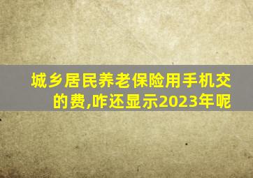 城乡居民养老保险用手机交的费,咋还显示2023年呢