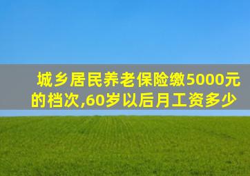 城乡居民养老保险缴5000元的档次,60岁以后月工资多少
