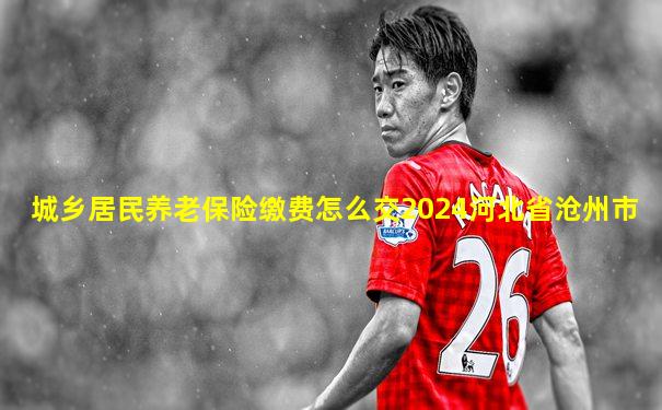 城乡居民养老保险缴费怎么交2024河北省沧州市