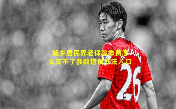 城乡居民养老保险缴费怎么交不了参数错误非法入口