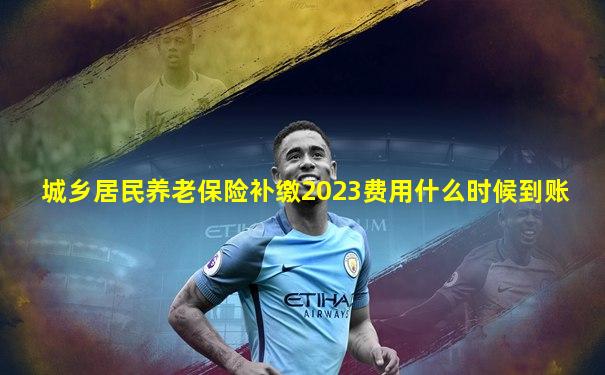 城乡居民养老保险补缴2023费用什么时候到账