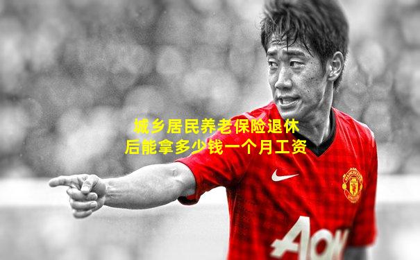 城乡居民养老保险退休后能拿多少钱一个月工资