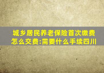 城乡居民养老保险首次缴费怎么交费:需要什么手续四川