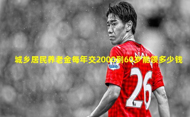 城乡居民养老金每年交2000到60岁能领多少钱