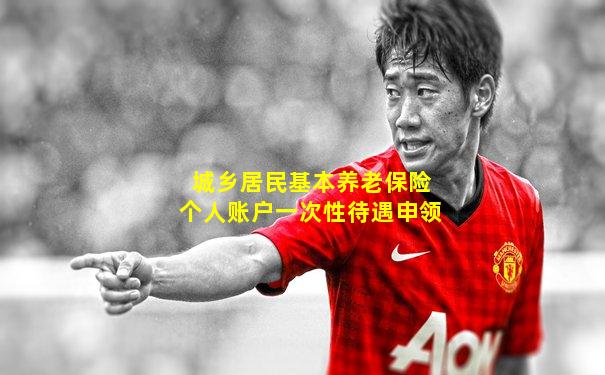 城乡居民基本养老保险个人账户一次性待遇申领