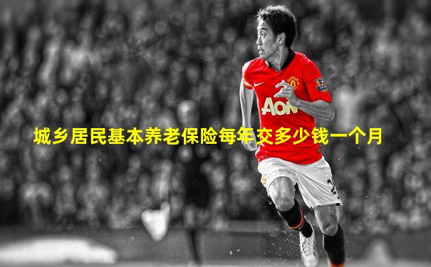 城乡居民基本养老保险每年交多少钱一个月