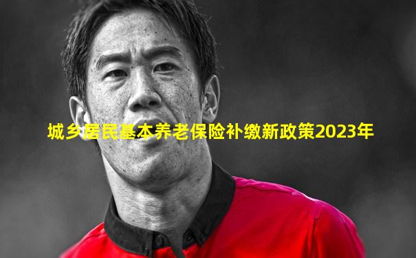 城乡居民基本养老保险补缴新政策2023年