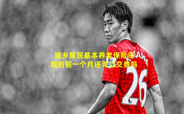 城乡居民基本养老保险领取的前一个月还可以交费吗