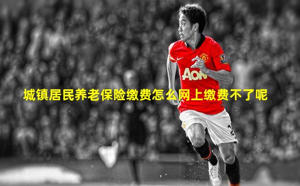城镇居民养老保险缴费怎么网上缴费不了呢
