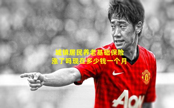 城镇居民养老基础保险涨了吗现在多少钱一个月