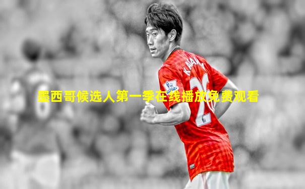 墨西哥候选人第一季在线播放免费观看