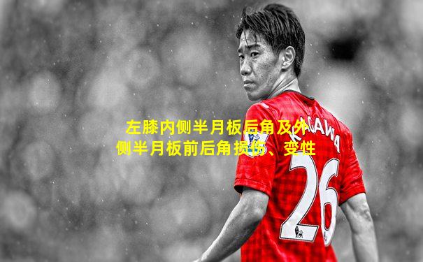 左膝内侧半月板后角及外侧半月板前后角损伤、变性