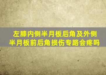 左膝内侧半月板后角及外侧半月板前后角损伤专路会疼吗