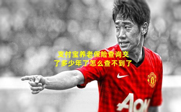 支付宝养老保险查询交了多少年了怎么查不到了