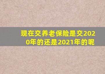 现在交养老保险是交2020年的还是2021年的呢
