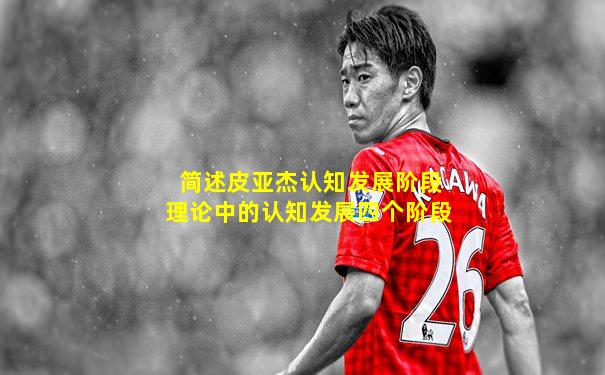 简述皮亚杰认知发展阶段理论中的认知发展四个阶段
