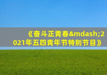 《奋斗正青春—2021年五四青年节特别节目》