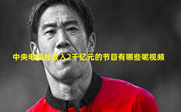 中央电视台收入2千亿元的节目有哪些呢视频