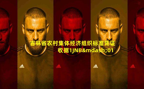 吉林省农村集体经济组织标准凭证收据1JNB—01