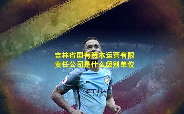 吉林省国有资本运营有限责任公司是什么级别单位