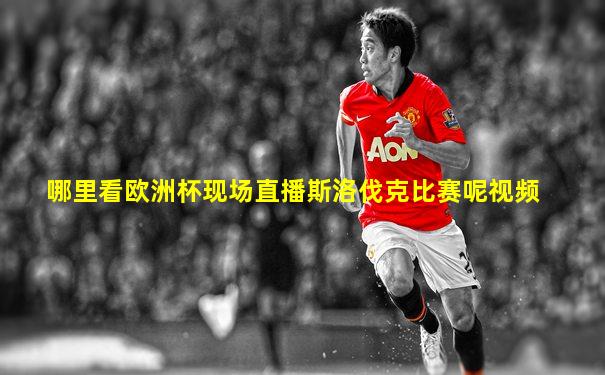 哪里看欧洲杯现场直播斯洛伐克比赛呢视频