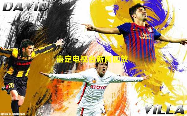 嘉定电视台新闻回放