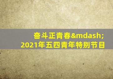 奋斗正青春—2021年五四青年特别节目