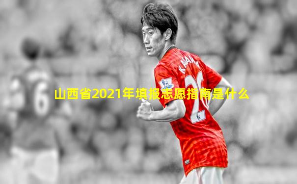山西省2021年填报志愿指南是什么