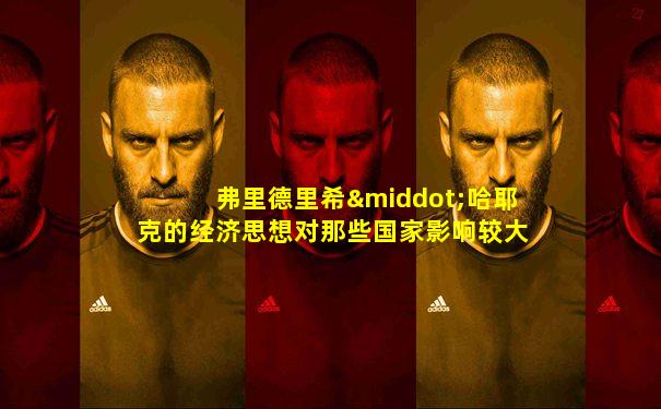 弗里德里希·哈耶克的经济思想对那些国家影响较大