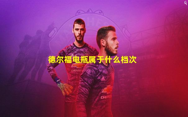德尔福电瓶属于什么档次
