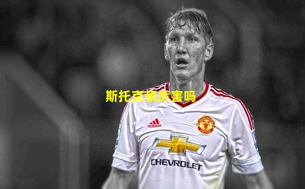 斯托克顿厉害吗