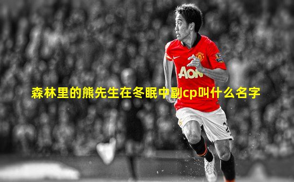 森林里的熊先生在冬眠中副cp叫什么名字