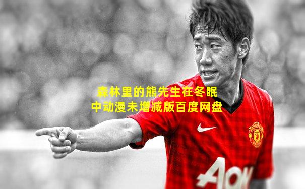森林里的熊先生在冬眠中动漫未增减版百度网盘