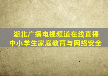 湖北广播电视频道在线直播中小学生家庭教育与网络安全