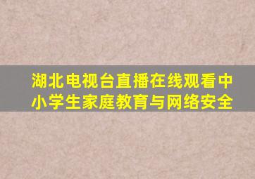 湖北电视台直播在线观看中小学生家庭教育与网络安全