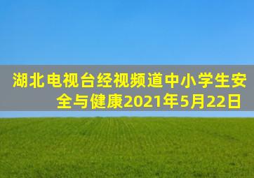 湖北电视台经视频道中小学生安全与健康2021年5月22日