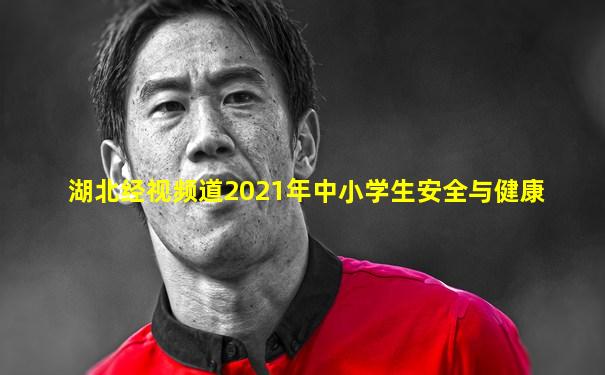 湖北经视频道2021年中小学生安全与健康