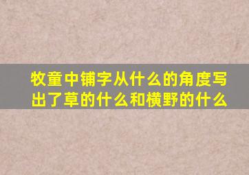 牧童中铺字从什么的角度写出了草的什么和横野的什么