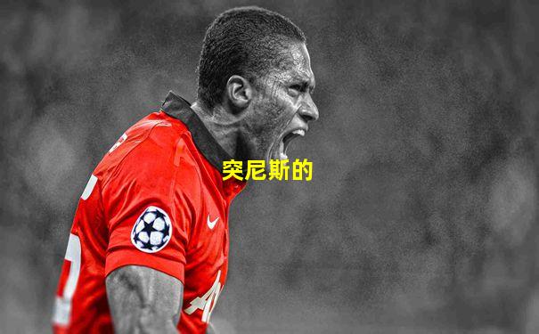 突尼斯的